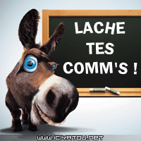lachez vos comm
